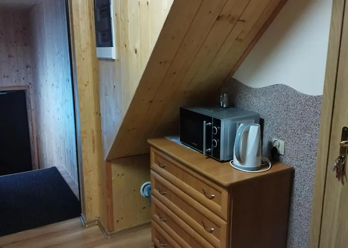 Lissa דוז'ניקי ז'דרוז'